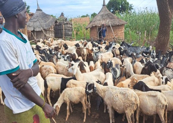 Agriculture et élevage